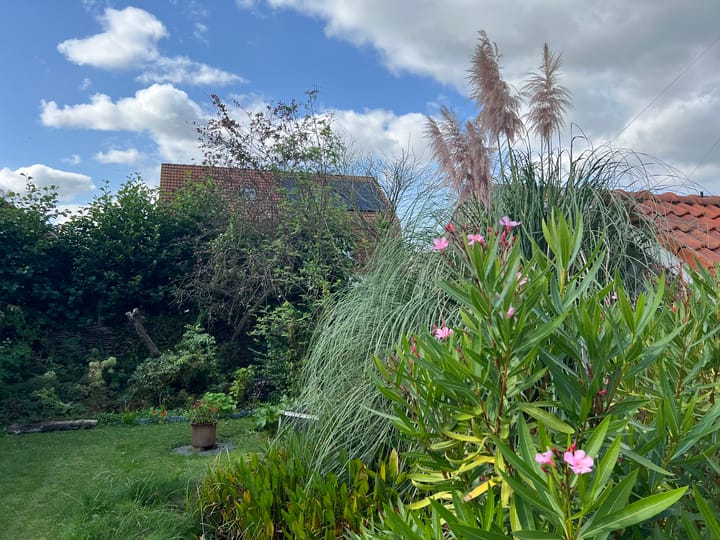 Foto 29 van Schaapsweg 14