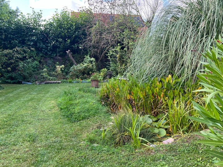 Foto 30 van Schaapsweg 14