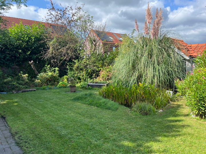 Foto 31 van Schaapsweg 14