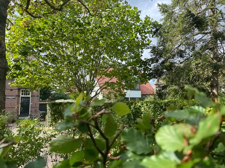 Foto 34 van Schaapsweg 14