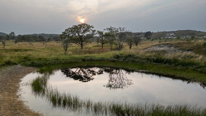 Photo 53 of Torenweg 57