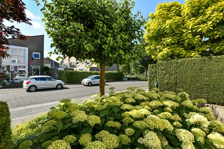 Foto 3 van Winterjan 1