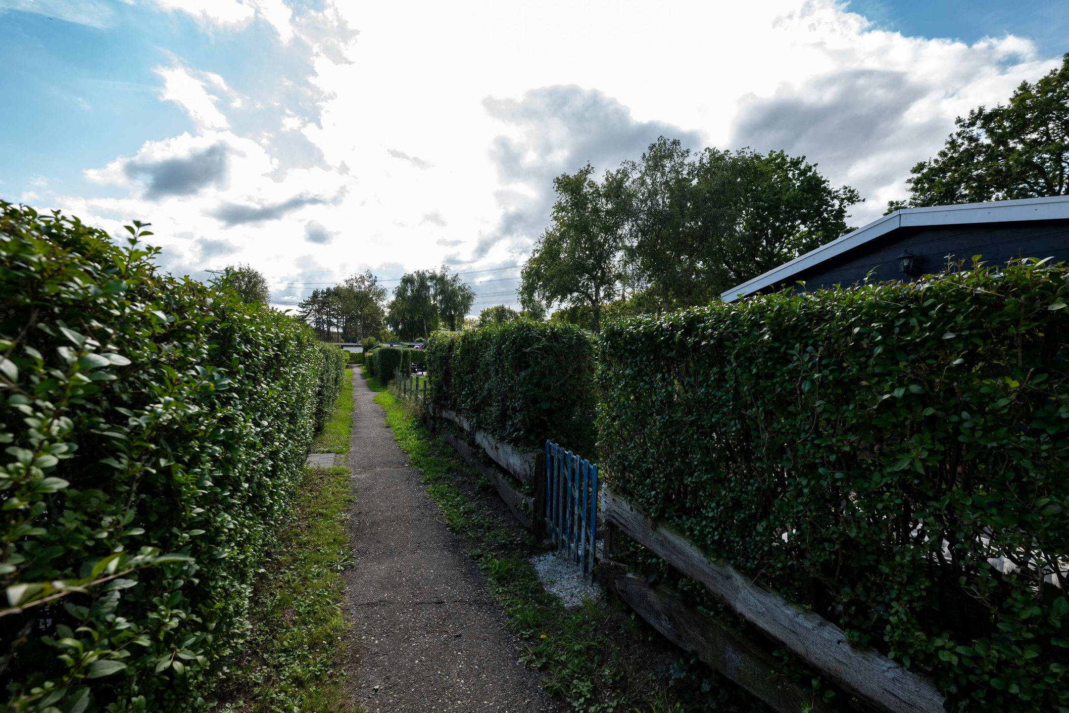 Foto 21 van Gorsplein 2, Larixhof 6