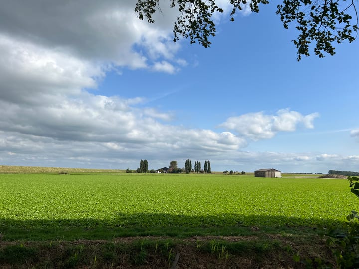 Photo 4 of Schaapsweg 14