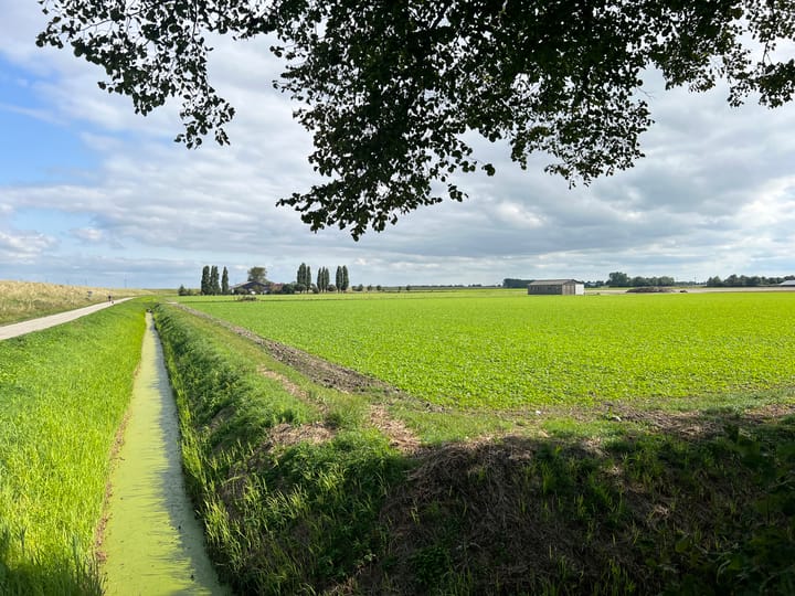 Photo 36 of Schaapsweg 14