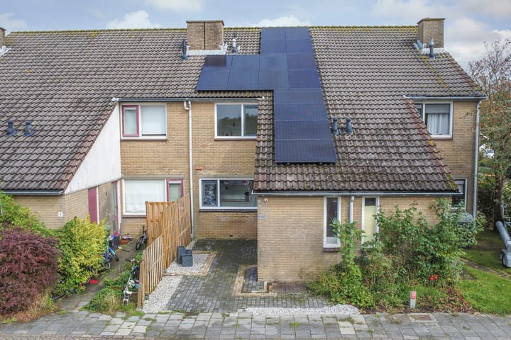 Foto 1 van de Roos 2