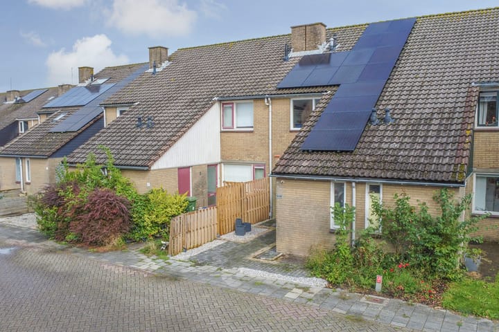 Foto 2 van de Roos 2