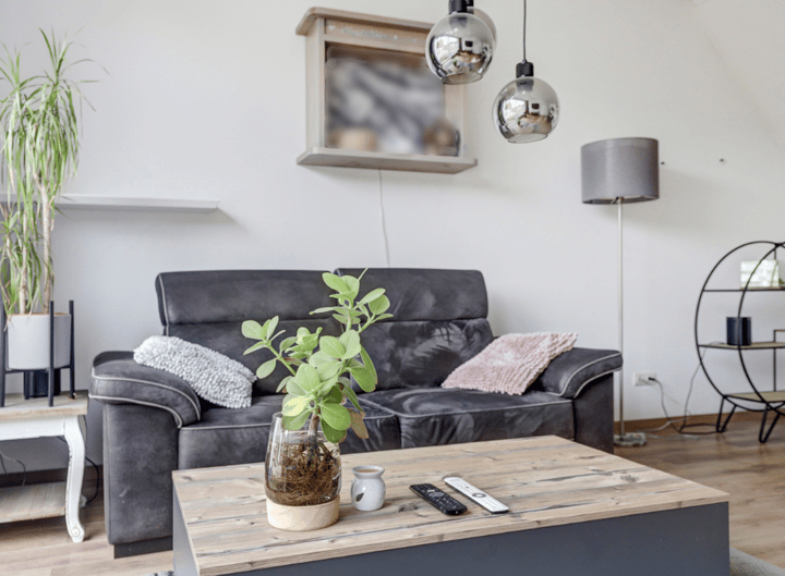 Foto 9 van de Roos 2