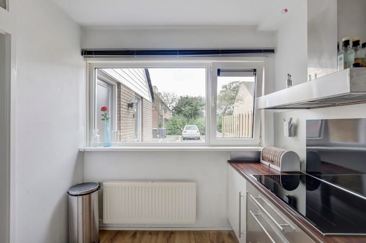 Foto 19 van de Roos 2