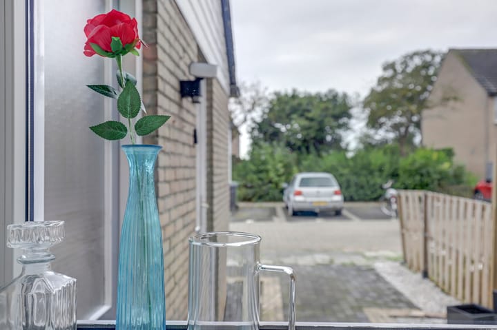 Foto 20 van de Roos 2