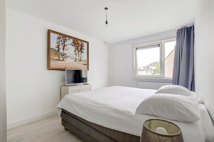 Foto 24 van de Roos 2