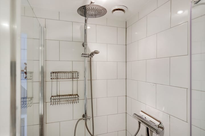 Foto 33 van de Roos 2