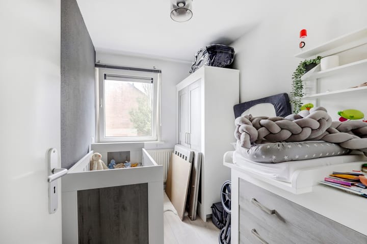 Foto 29 van de Roos 2