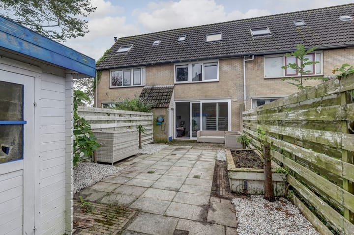 Foto 41 van de Roos 2