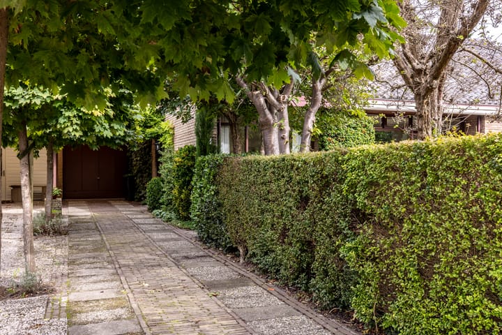 Foto 4 van Anjerdreef 56