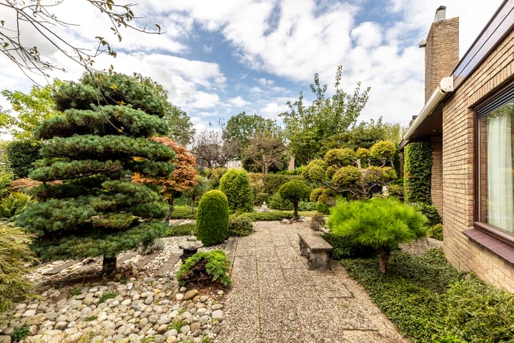 Foto 12 van Anjerdreef 56