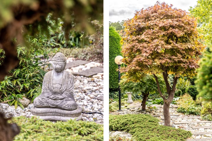 Foto 14 van Anjerdreef 56