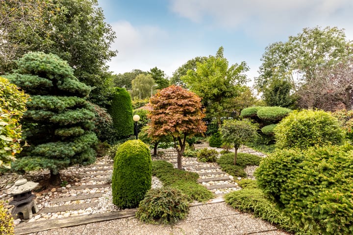 Foto 15 van Anjerdreef 56