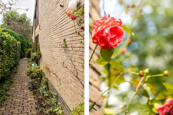 Foto 46 van Anjerdreef 56