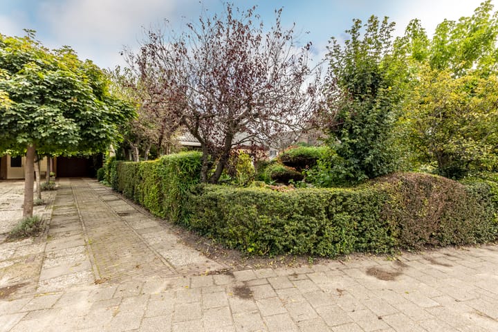 Foto 47 van Anjerdreef 56