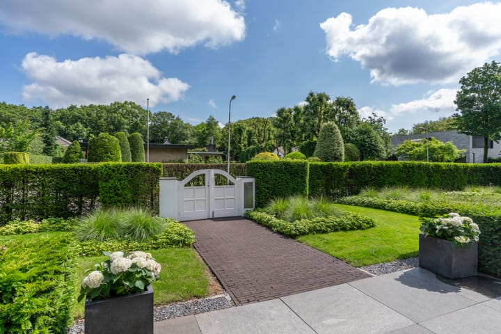 Foto 41 van Berkenlaan 19