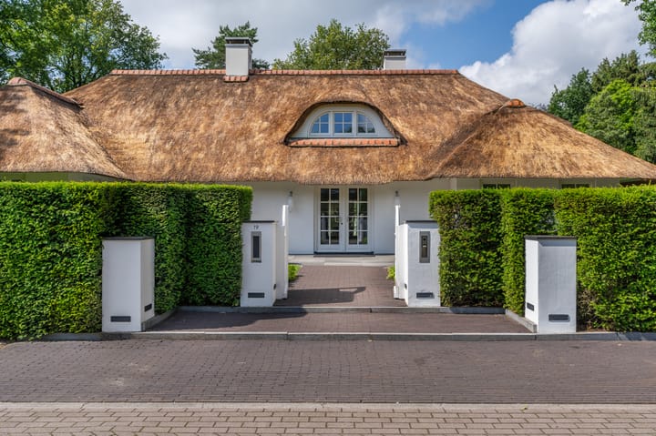 Foto 47 van Berkenlaan 19