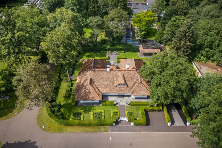 Foto 48 van Berkenlaan 19