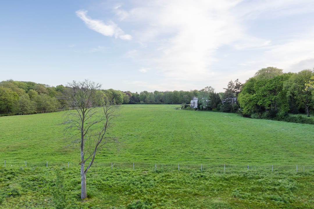 Foto 41 van Burgemeester Schoute Park 53