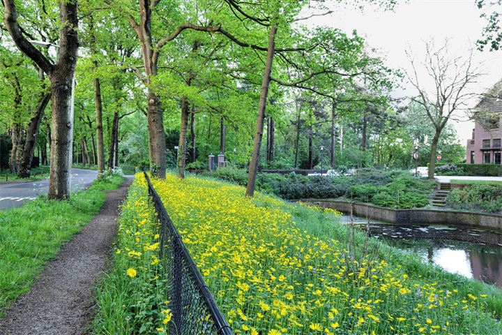 View photo 46 of Burgemeester Schoute Park 53