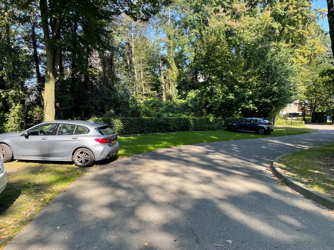 Foto 2 van Muzenlaan