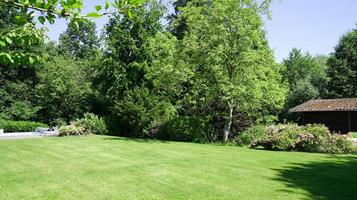 Foto 49 van Soppestraat 32