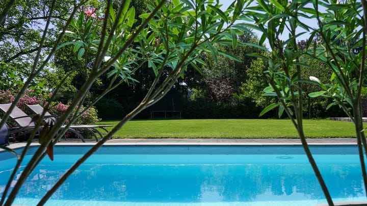 Foto 56 van Soppestraat 32