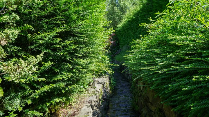 Foto 62 van Soppestraat 32