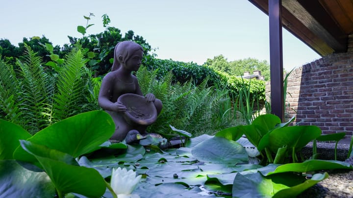 Foto 65 van Soppestraat 32