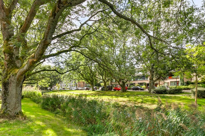 Foto 29 van Aart van der Leeuwkade 88