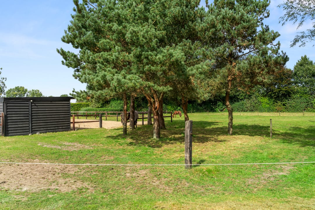 Foto 43 van Kattenbroekerweg 8