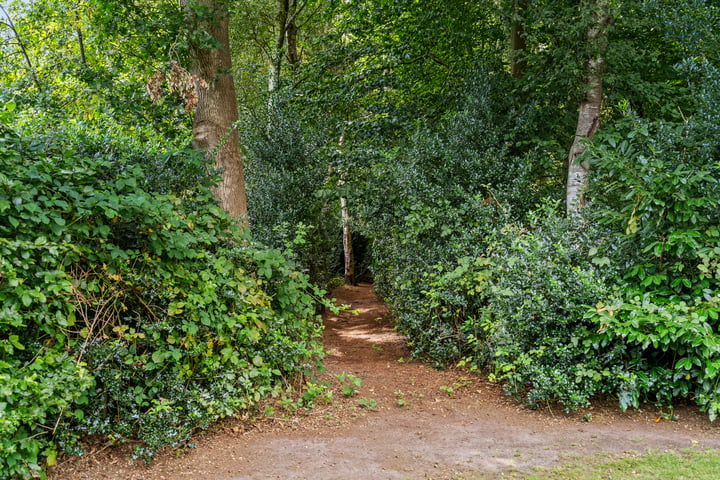 Bekijk foto 64 van Kattenbroekerweg 8