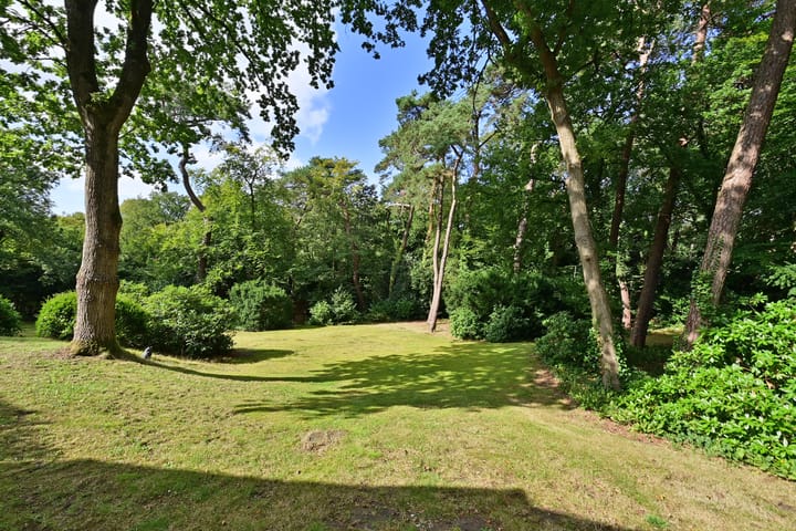 Foto 32 van Nieuwe 's-Gravelandseweg 96