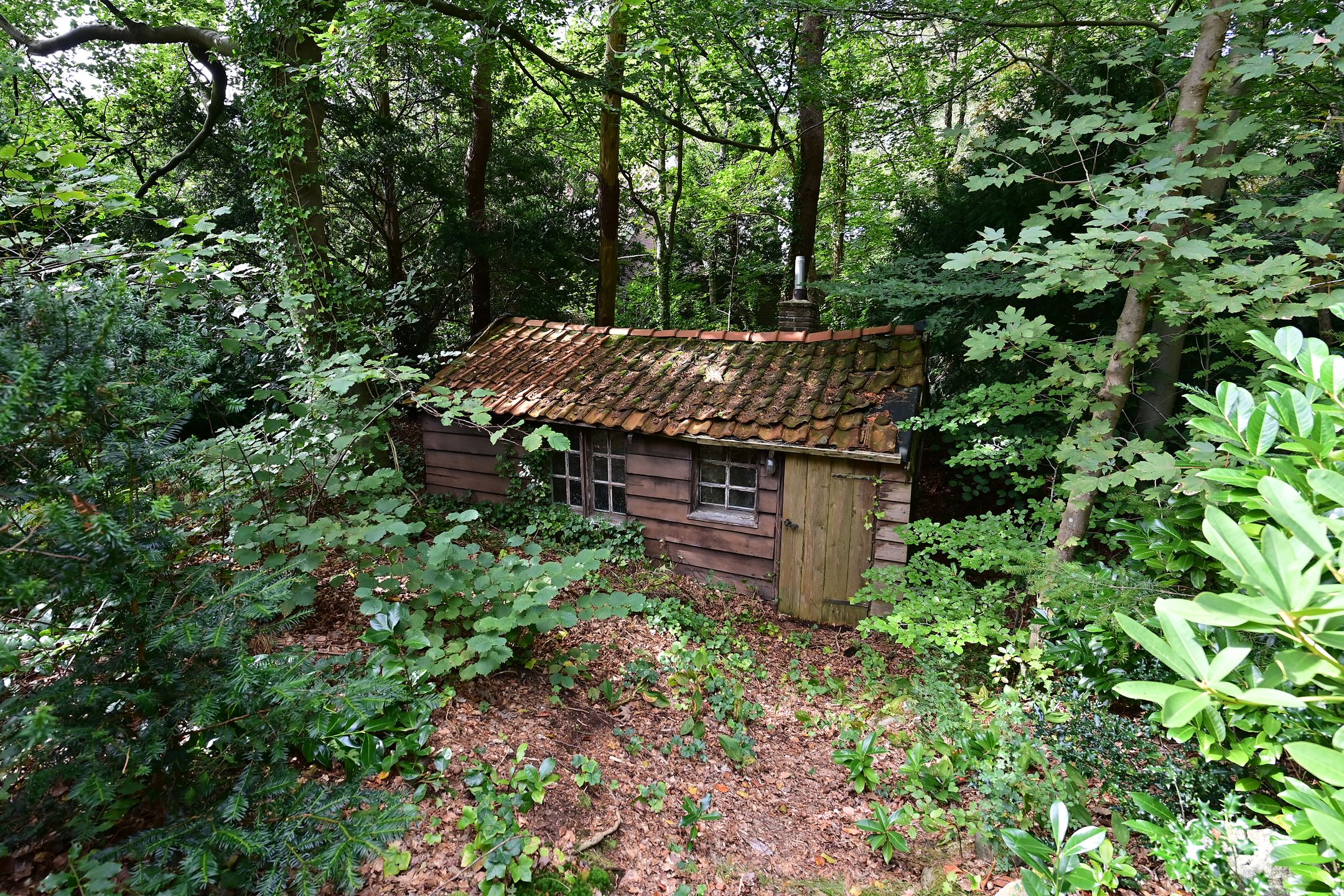 Foto 33 van Nieuwe 's-Gravelandseweg 96