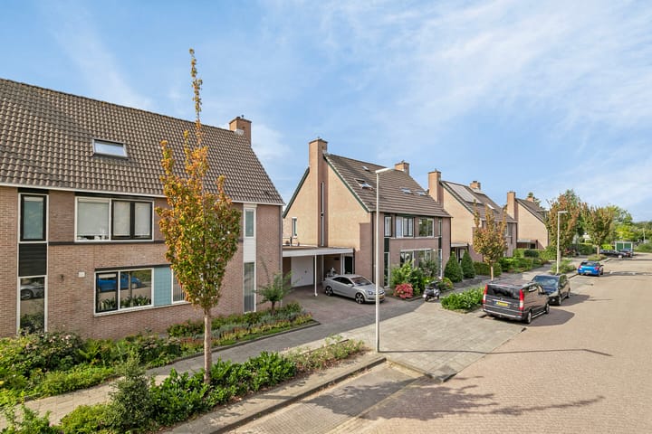 Foto 2 van Molenaar 14