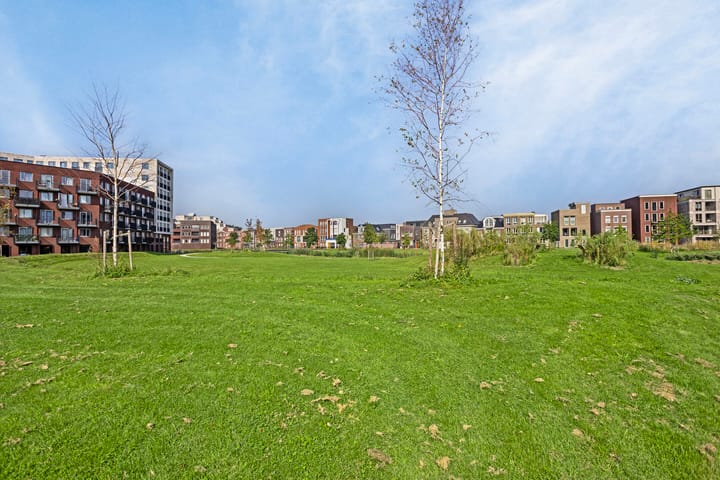 Foto 31 van Rotterdamhaven 18