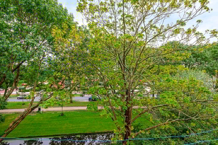 Foto 15 van Rembrandtstraat 56-B