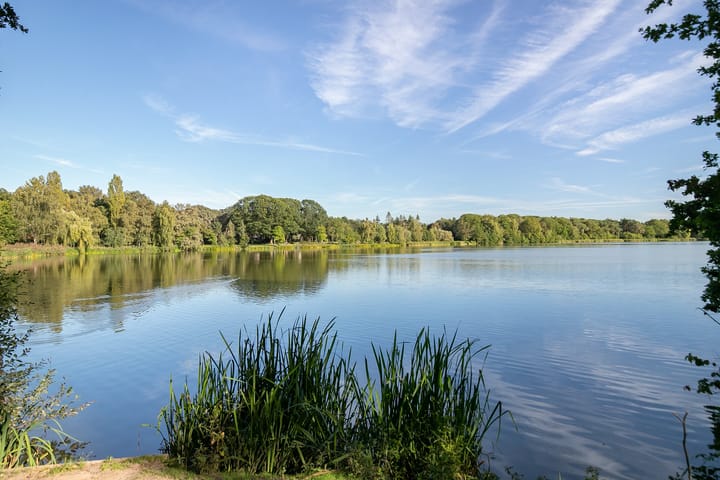 Foto 49 van Javalaan 15