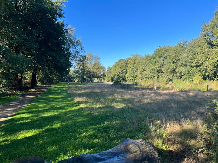 Foto 51 van Javalaan 15