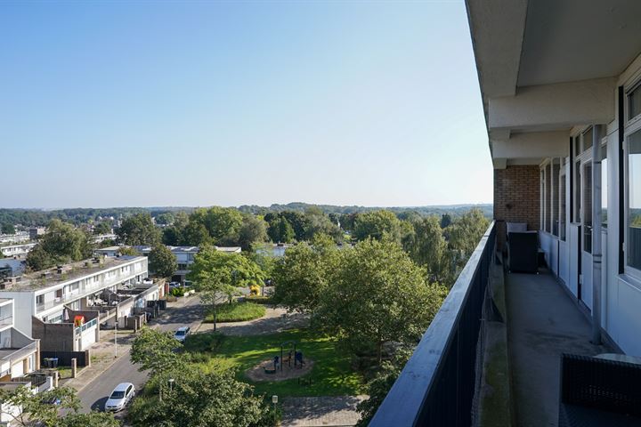 Bekijk foto 6 van Vrieheidepark 91