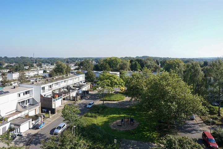 Bekijk foto 17 van Vrieheidepark 91