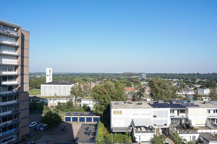 Bekijk foto 18 van Vrieheidepark 91