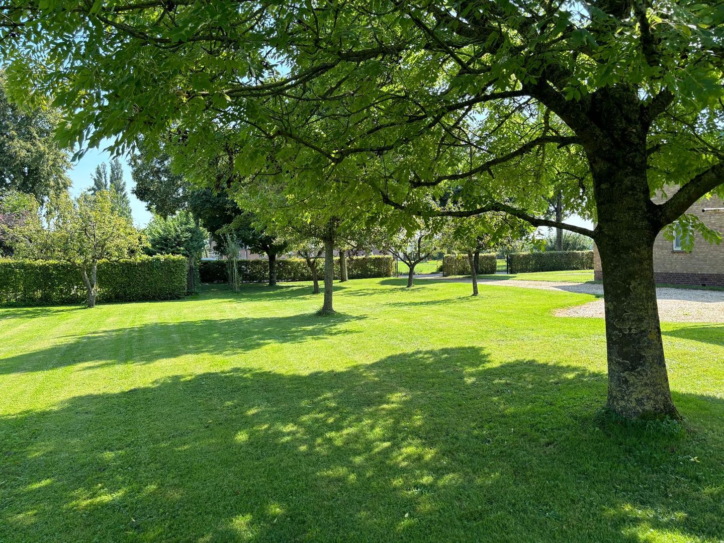 Foto 1 van Zahnstraat