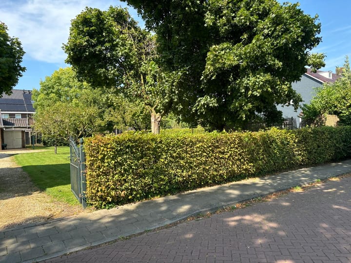 Foto 3 van Zahnstraat