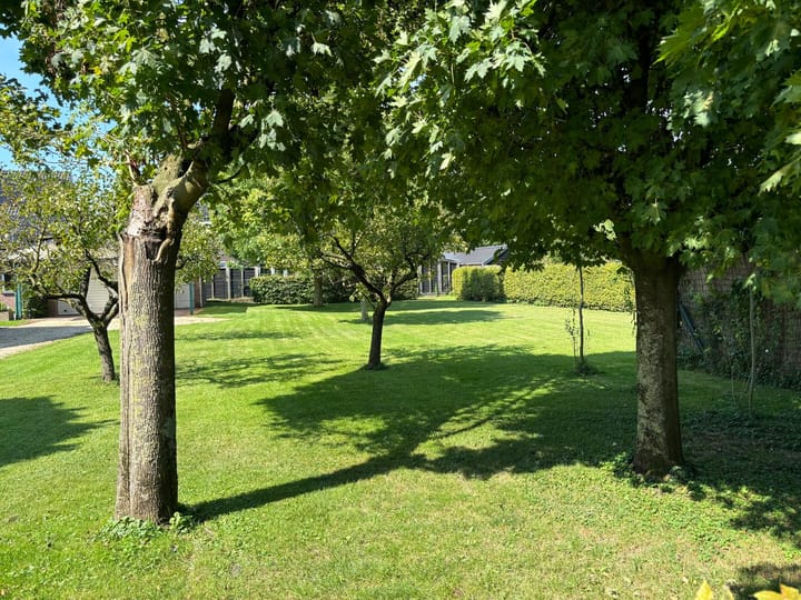 Foto 4 van Zahnstraat